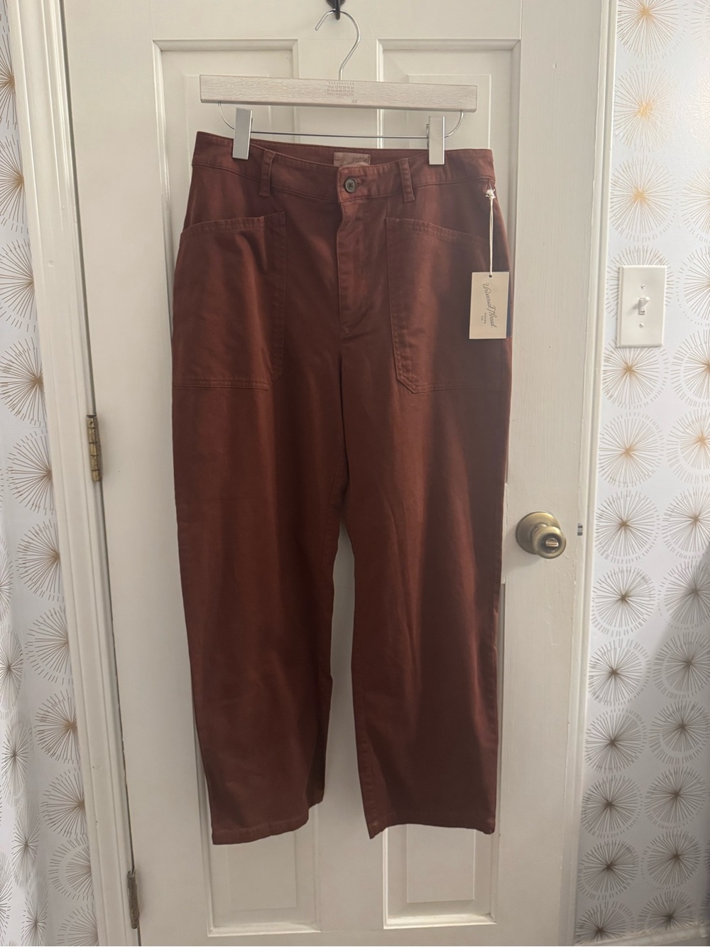 Universal Thread Straight-Leg Pants in Rust Brown